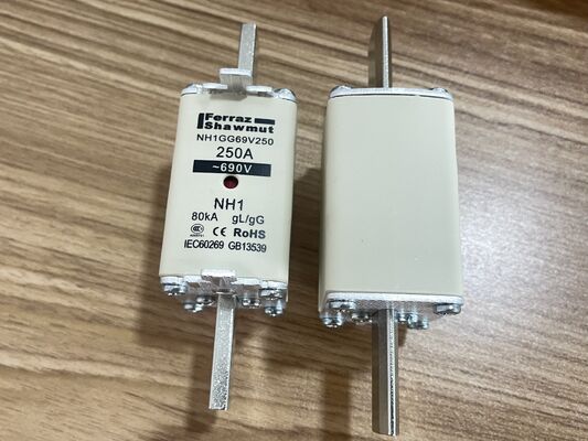NH1GG69V250P 1250V 250A SiC MOSFET モジュール 低Rds (オン) 3.3mΩ 急速切換 高周波 低損失 高電源密度 工業用 フォトインバーターおよびモーター駆動